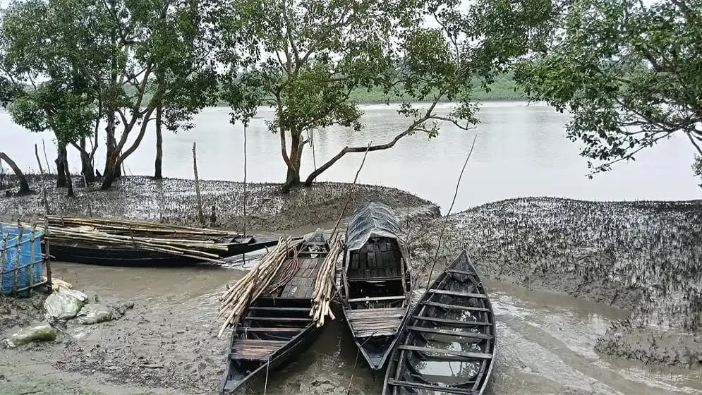 তিন মাস বন্ধ থাকার পর পর্যটকদের জন্য খুলেছে সুন্দরবন