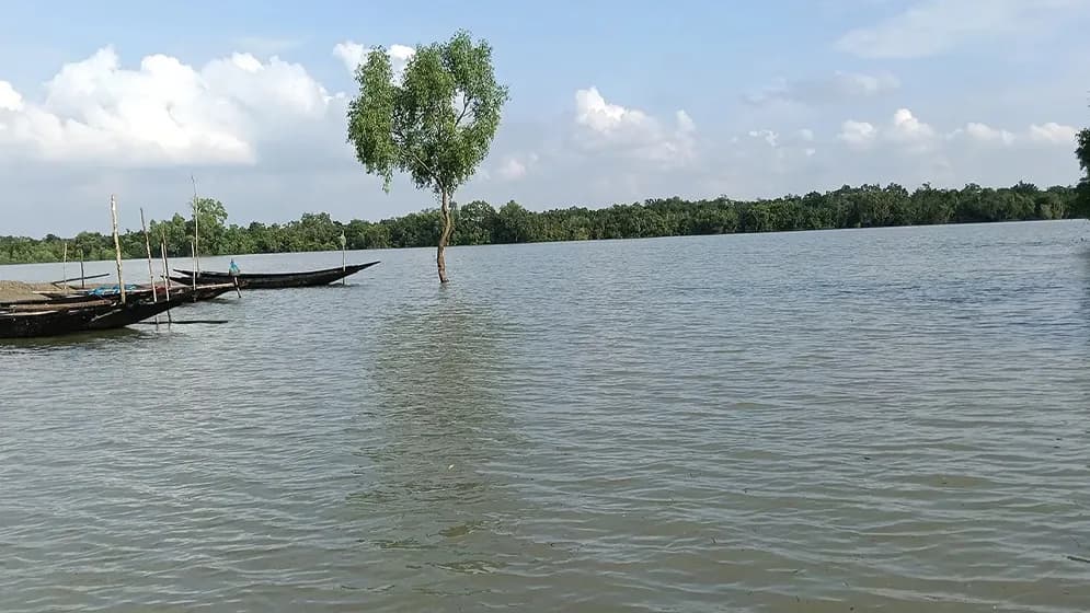 তিন মাস বন্ধ থাকার পর পর্যটকদের জন্য খুলেছে সুন্দরবন