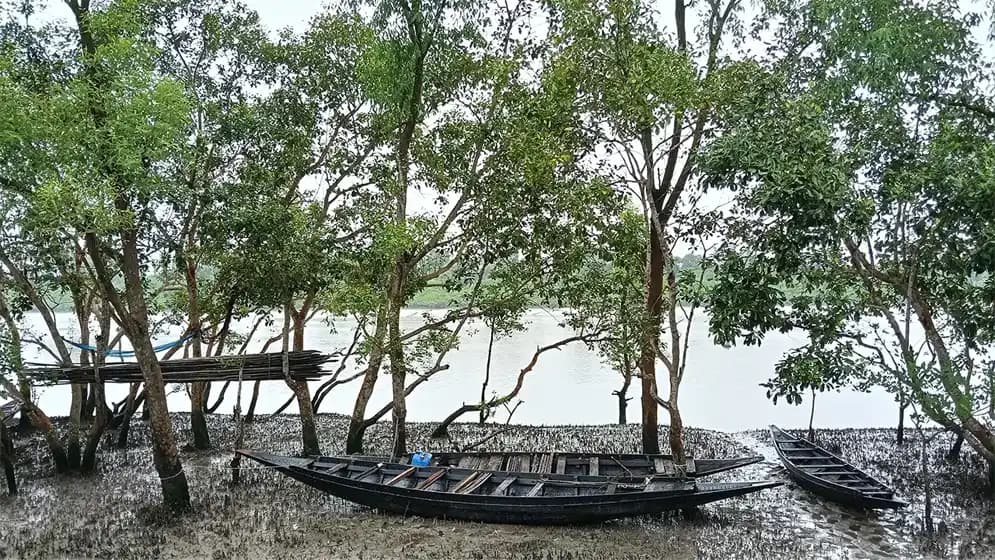 তিন মাস বন্ধ থাকার পর পর্যটকদের জন্য খুলেছে সুন্দরবন